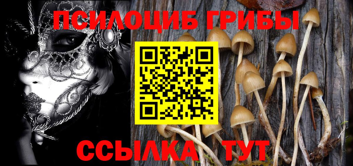Галлюциногенные грибы Psilocybine cubensis  Вход с VPN  Оренбург 