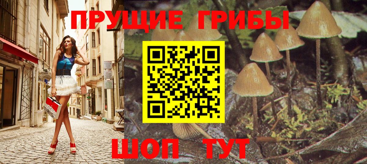 Псилоцибиновые грибы Psilocybine cubensis Оренбург